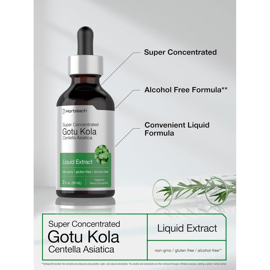 Horbäach Gotu Kola Extract | 2 Fl Oz | Alcohol Free | Super Concentrated Liquid Herb Supplement | Vegetarian, Non-Gmo, Gluten Free