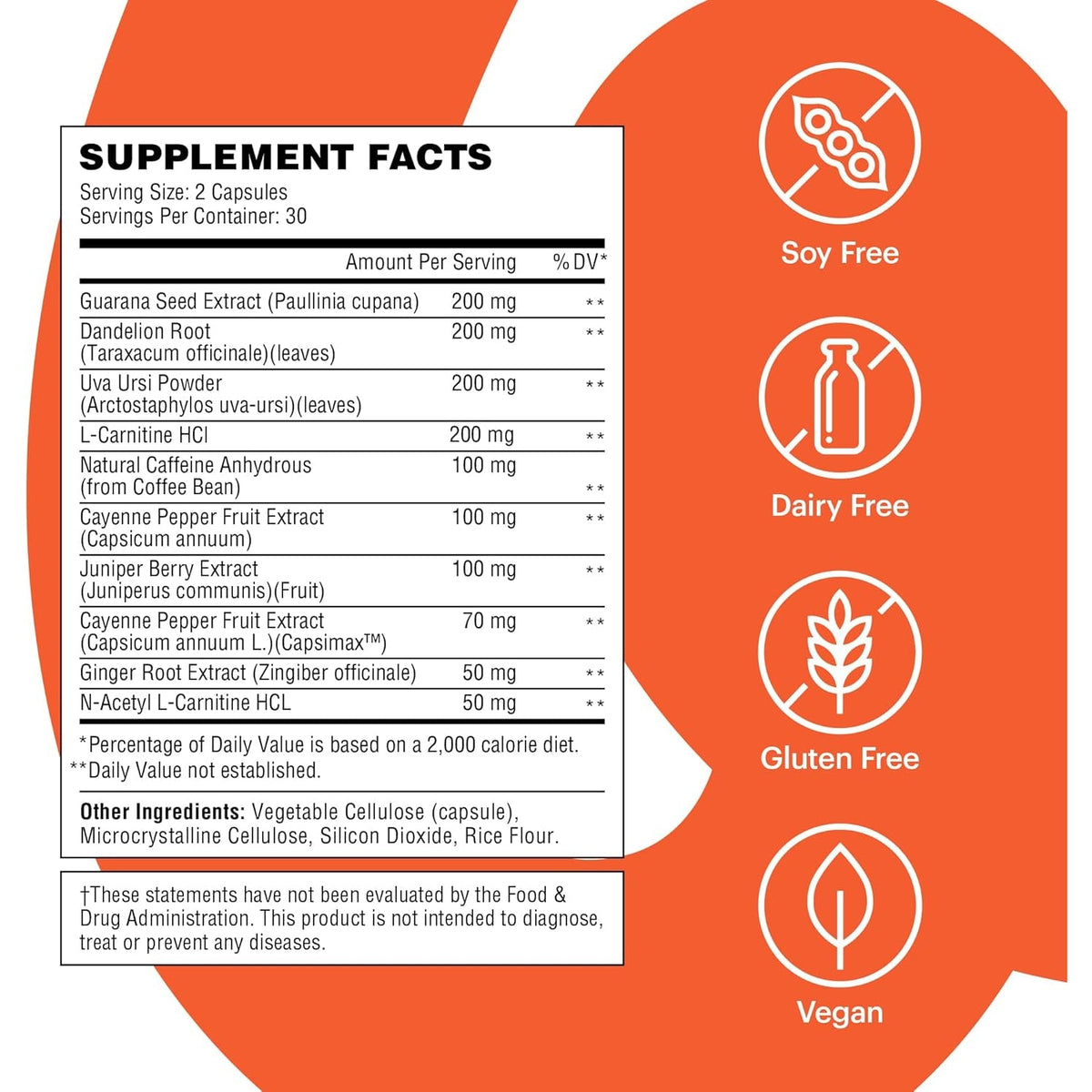 Wellthy Daily Thermogenic Capsimax, Green Tea & L-Carnitine Belly Thermogenic for Women Natural Weight Loss, Craving Control & Energy Support, 60 Count Capsules