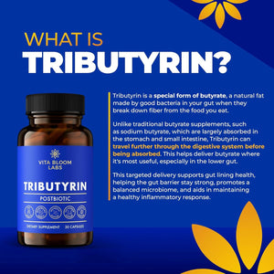 Tributyrin Supplement - Better Delivery & More Effective than Sodium Butyrate - Gut Health & Digestive Support - 3-In-1 Butyrate Postbiotics for Leaky Gut & Gut Barrier Support - 30 Capsules