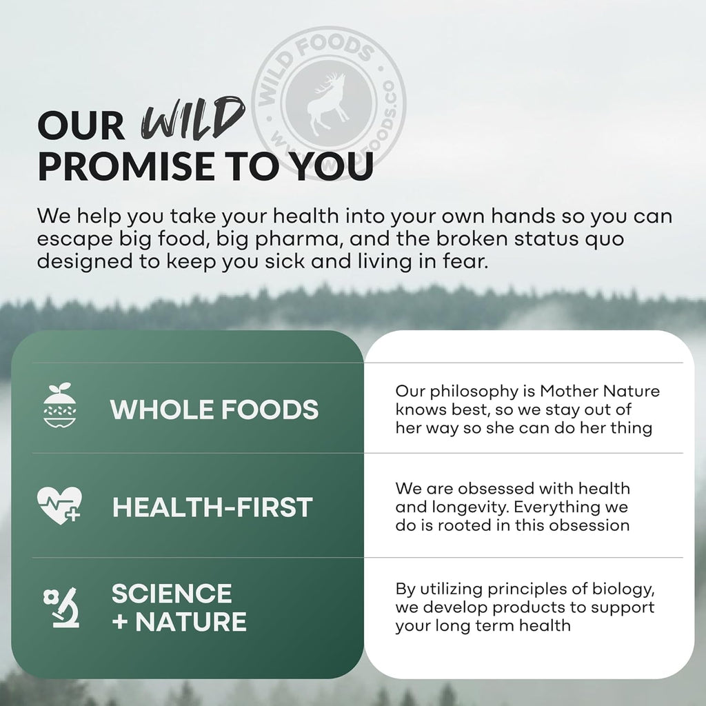 Wild Foods Activated Charcoal Capsules | 100% Organic Coconut Shells Active Tablets | Lab Tested & Non-Gmo Pills | Made in USA (120 Capsules)