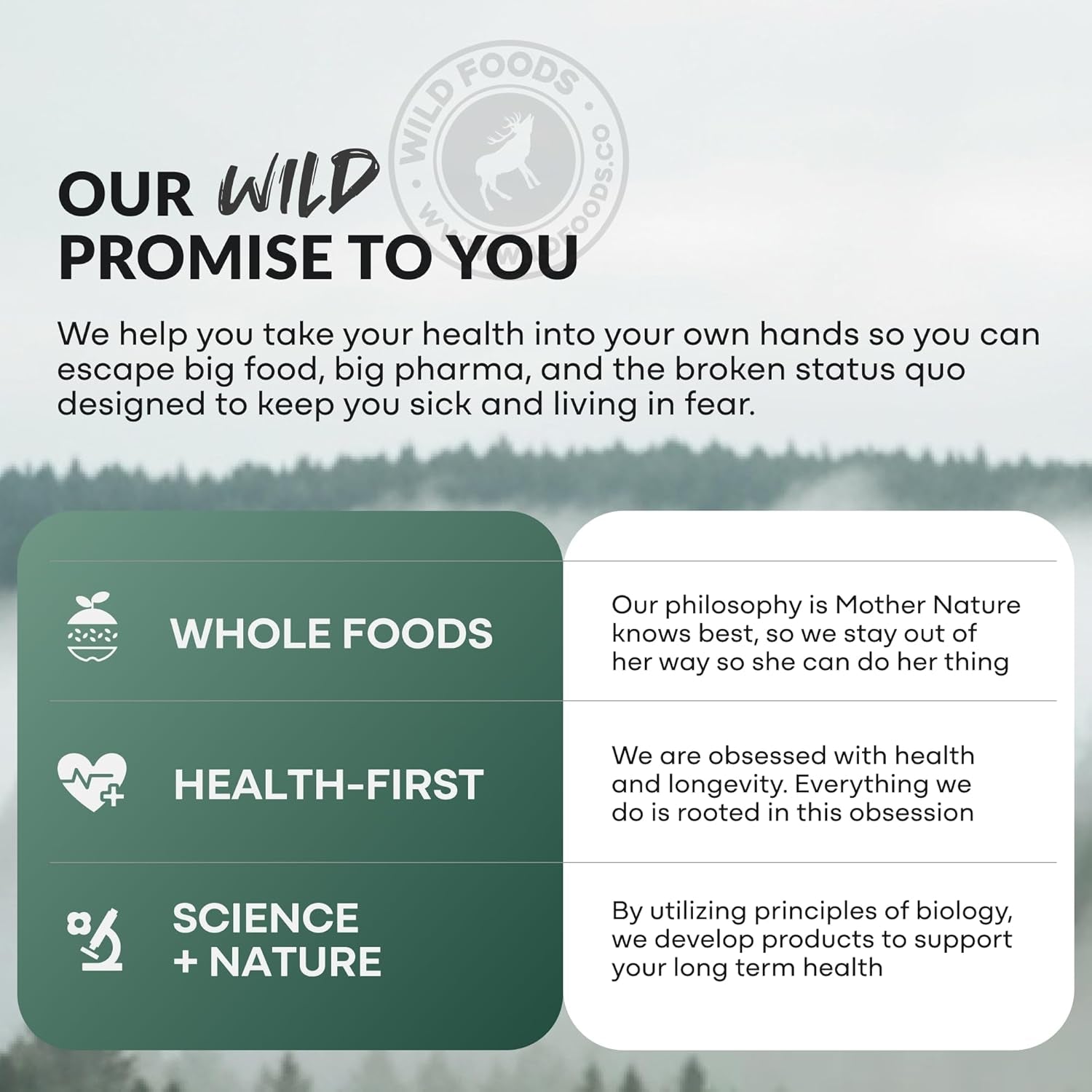 Wild Foods Activated Charcoal Capsules | 100% Organic Coconut Shells Active Tablets | Lab Tested & Non-Gmo Pills | Made in USA (120 Capsules)