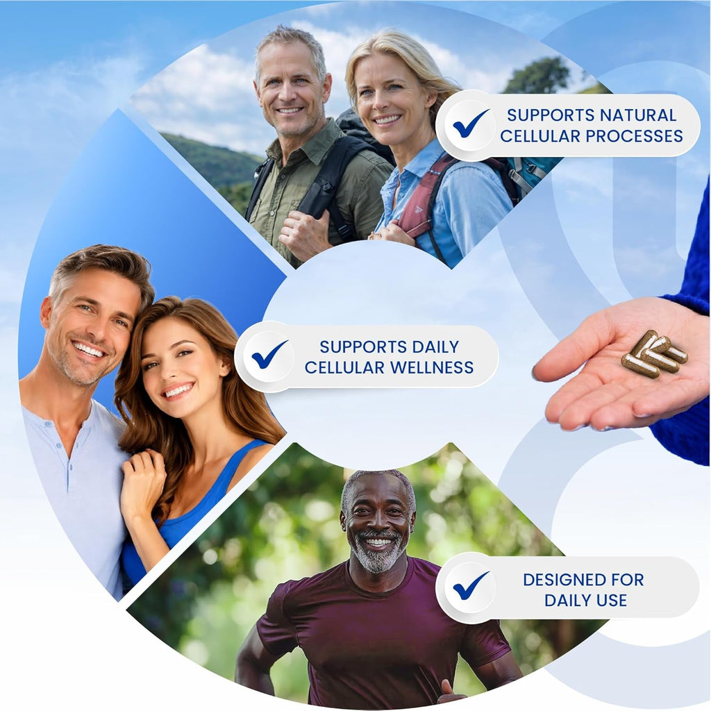 Spermidine Supplements for Men and Women–10 Mg Spermidine Hcl Complex with TMG & Organic Berry Antioxidants–Cellular Health Support–60 Capsules (60-Day Supply) for Healthy Aging & Longevity