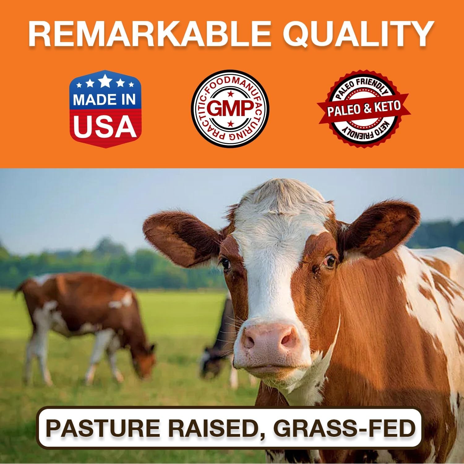 Zammex Pure Grass Fed Beef Bone Broth Protein Powder, 20G Protein, Hydrolyzed Collagen Supplement for Healthy Skin, Nails, Hair, Joints, Non-Gmo, Gluten Free, Paleo & Keto Friendly, Great in Soup