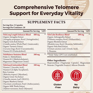 Telomere Lengthening Supplements – Organic Astragalus, Gotu Kola, Vitamin D3, Folate, L-Theanine – Anti-Aging, DNA Repair, Immune & Cellular – 60 Vegan Capsules, Made in Japan (1 Bottle)