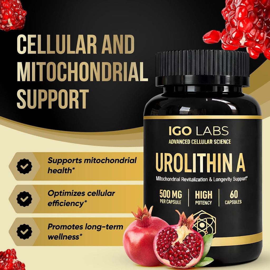 Urolithin a Capsules 500Mg - 1000Mg per Serving Mitochondrial Support Supplement for Cellular Renewal - Longevity Wellness Capsules - High Purity Urolithin a Supplement - 60 Caps