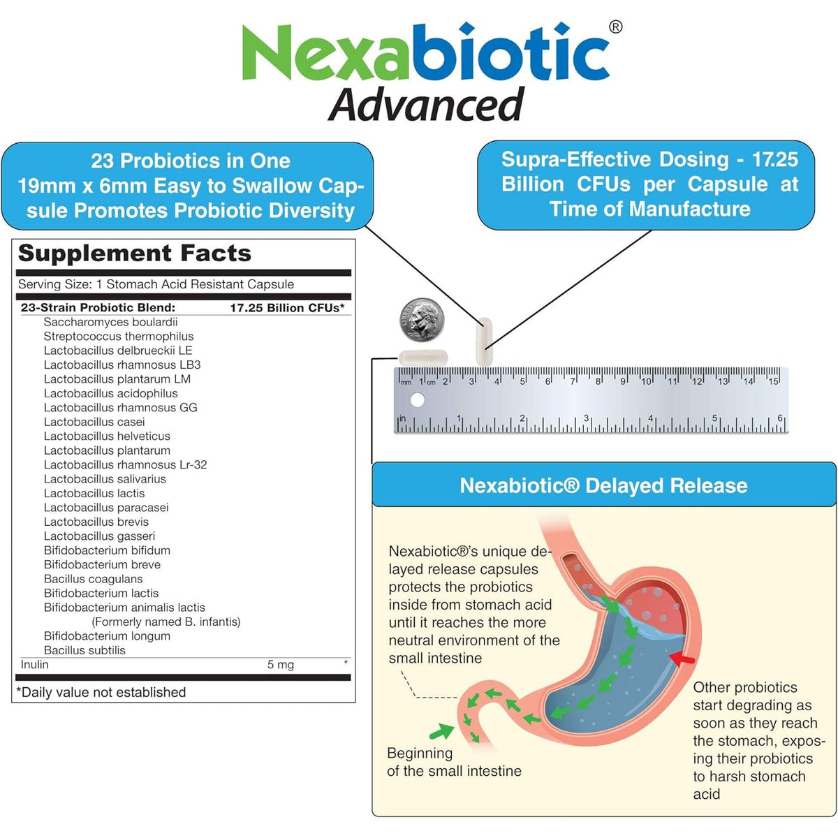 Drformulas' Best Probiotics for Women & Men | Nexabiotic Multi Probiotic with Saccharomyces Boulardii, Lactobacillus Acidophilus, B. Infantis, Prebiotic 60 Count Capsules (Not Pearls)