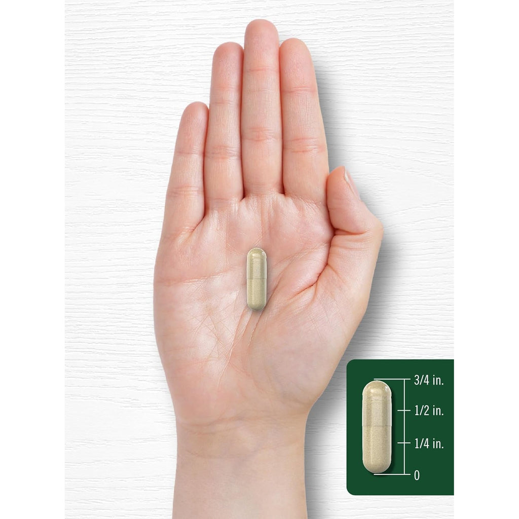 Carlyle Hydrangea Root Capsules | 100 Count | Non-Gmo, Gluten Free Extract