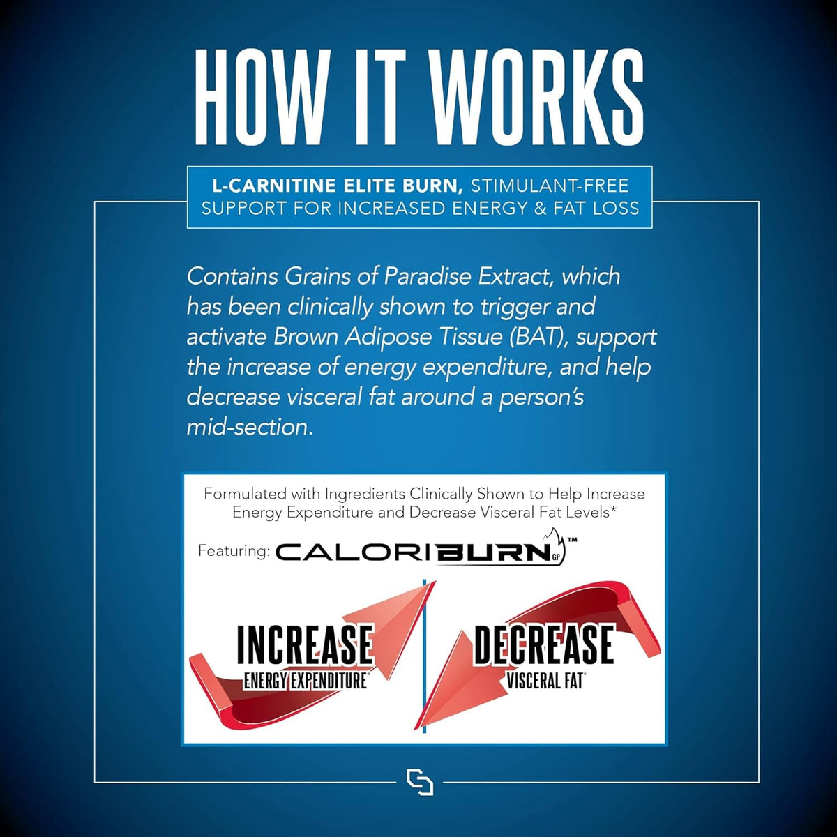 SIRENLABS L-Carnitine Elite Burn Liquid Keto Fat Burner and Metabolism Activator - Fat Loss Support Keto Friendly Weight Loss Increase Energy - Stimulant Free - Strawberry Blast 3000Mg (32 Servings)