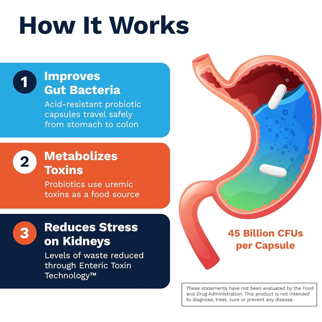 Renadyl Kidney Probiotic Supplement | Urea, Creatinine, & Uric Acid Support | 45 Billion Cfus | Clinically Tested, Non-Gmo, & Made in USA, 60 Capsules (1 Bottle, 1 Month Supply)