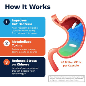 Renadyl Kidney Probiotic Supplement | Urea, Creatinine, & Uric Acid Support | 45 Billion Cfus | Clinically Tested, Non-Gmo, & Made in USA, 60 Capsules (1 Bottle, 1 Month Supply)
