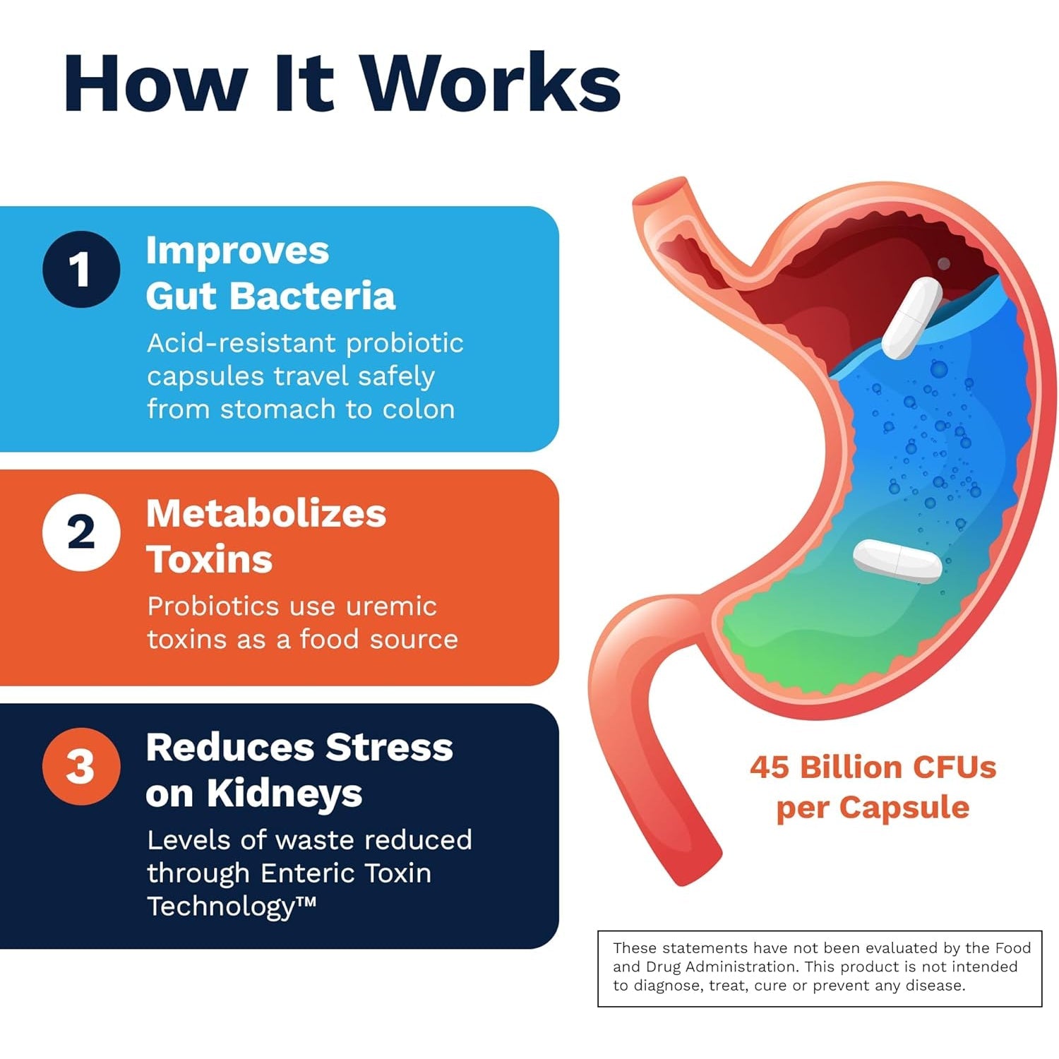 Renadyl Kidney Probiotic Supplement | Urea, Creatinine, & Uric Acid Support | 45 Billion Cfus | Clinically Tested, Non-Gmo, & Made in USA, 180 Capsules (3 Bottles, 3 Month Supply)