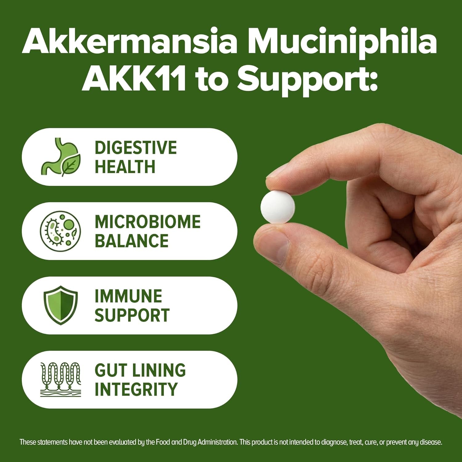 Akkermansia Muciniphila Probiotic 240 Tablets (4 Month Supply) - 100 Million AFU Researched Strain AKK11 - Supports Digestive Health & Gut Lining - GMP Certified (240, Akkermansia Muciniphila)