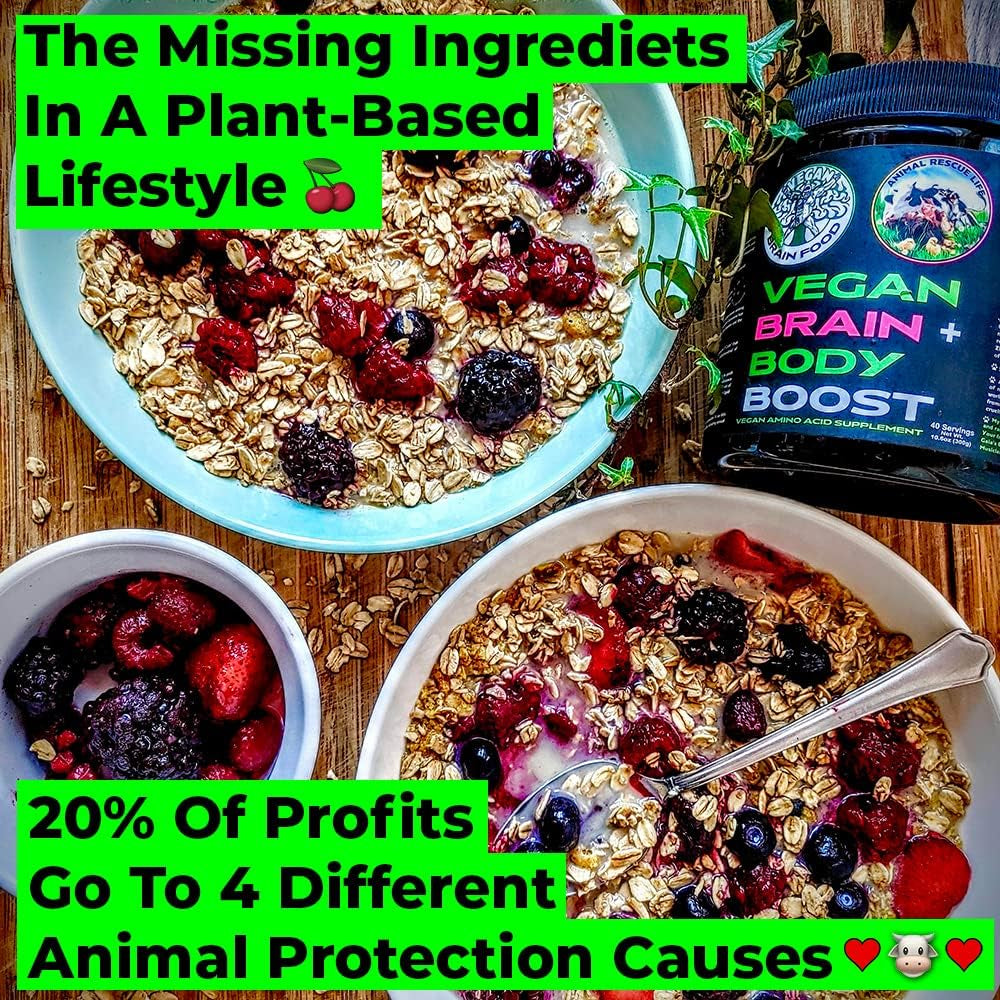 Vegan Brain & Body Boost: the Cherry on Top of a Plant-Based Lifestyle | Working Intelligence | Anti-Aging | Physical Fitness | Vegan Amino Acids - Creatine, Taurine & Beta Alanine | 67 Servings/500G
