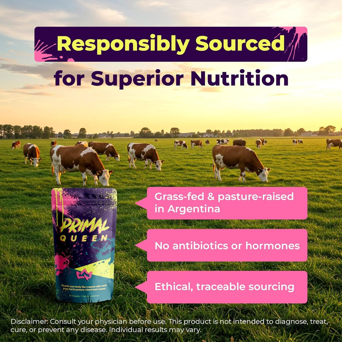 Primal Queen Female-Optimized Beef Organ Superfood Supplement (Beef Liver, Kidney, Heart, & 3 More) - 100% Grass Fed, Pasture Raised - 3Rd Party & Clinically Tested
