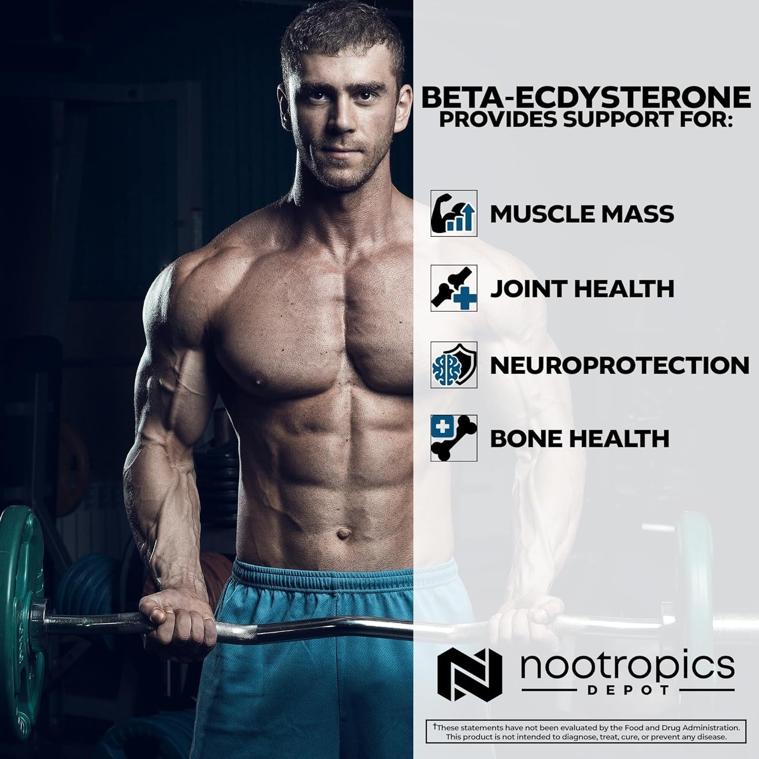 Nootropics Depot Beta Ecdysterone/20-Hydroxyecdysone 50% Capsules | 500Mg | Cyanotis Arachnoidea Extract | Phytoecdysteroid | 30 Count
