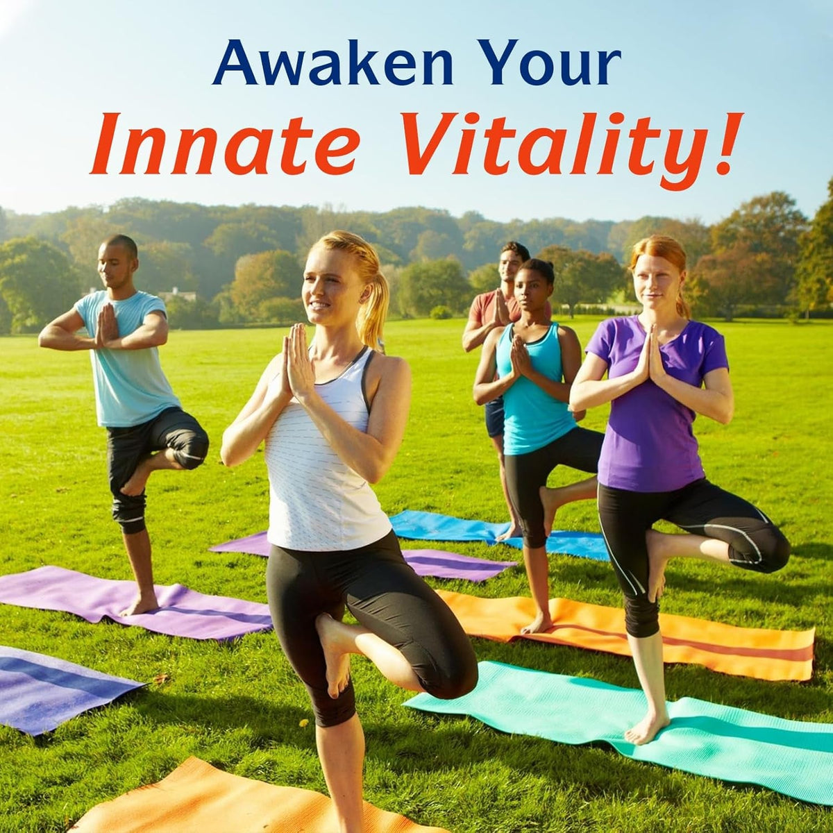 Innate Vitality Probiotics 120 Billion Cfus for Men & Women, 34 Strains with Prebiotics & Digestive Enzymes, Immune & Digestive Health, Delayed Release, Shelf Stable, 30 Vegan Capsules