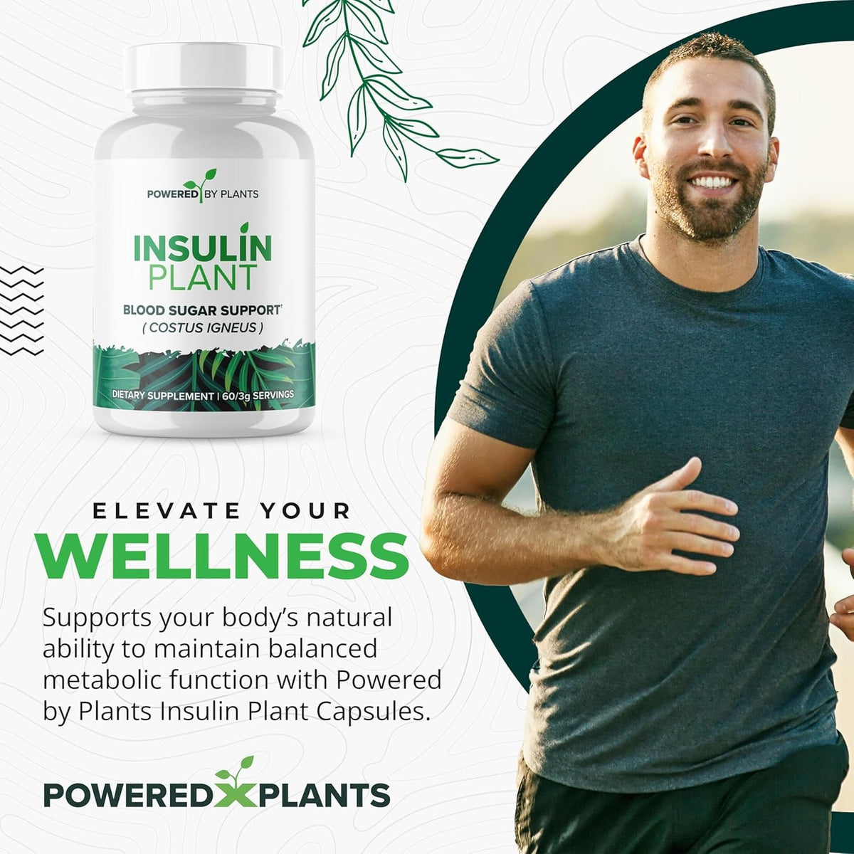 Insulin Plant Capsules - 3000Mg Costus Igneus Leaf Powder with No Binders, Fillers & Gluten - Vegan, Non GMO Supplements for Women & Men by Powered X Plants, 240 Capsules