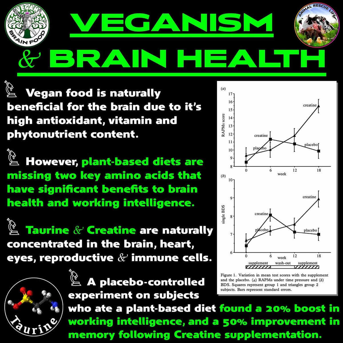 Vegan Brain & Body Boost: the Cherry on Top of a Plant-Based Lifestyle | Working Intelligence | Anti-Aging | Physical Fitness | Vegan Amino Acids - Creatine, Taurine & Beta Alanine | 67 Servings/500G