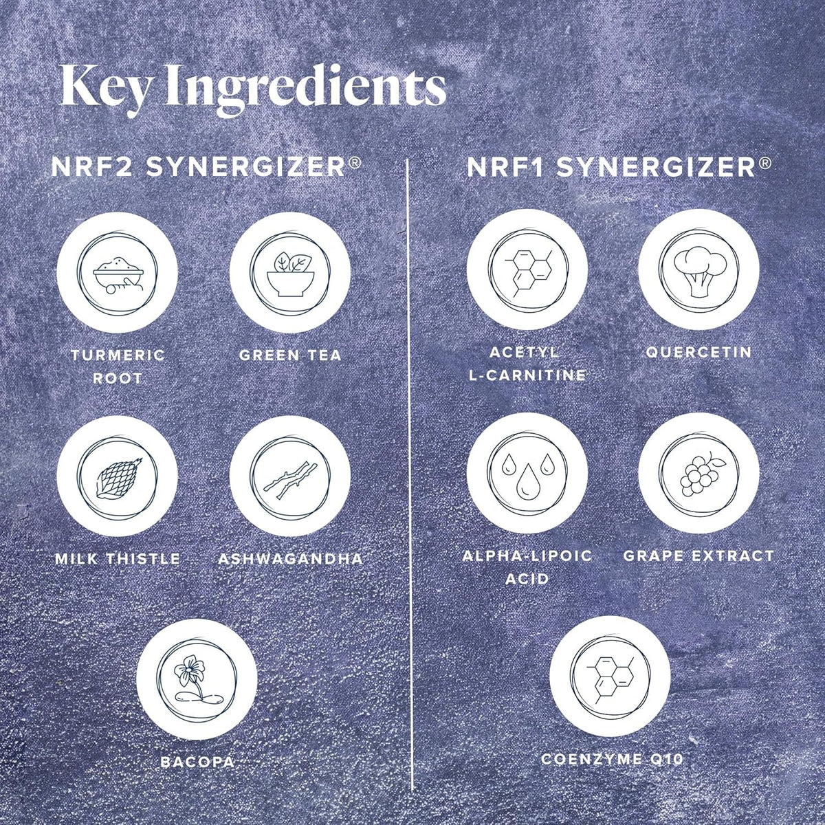 Lifevantage Protandim Dual Synergizer, NRF1 (60 Caps) + Nrf2 (30 Caps) Activators, Healthy Aging, Antioxidant, Cellular Energy Boost, Heart Health, Ashwagandha, Turmeric, Coq10
