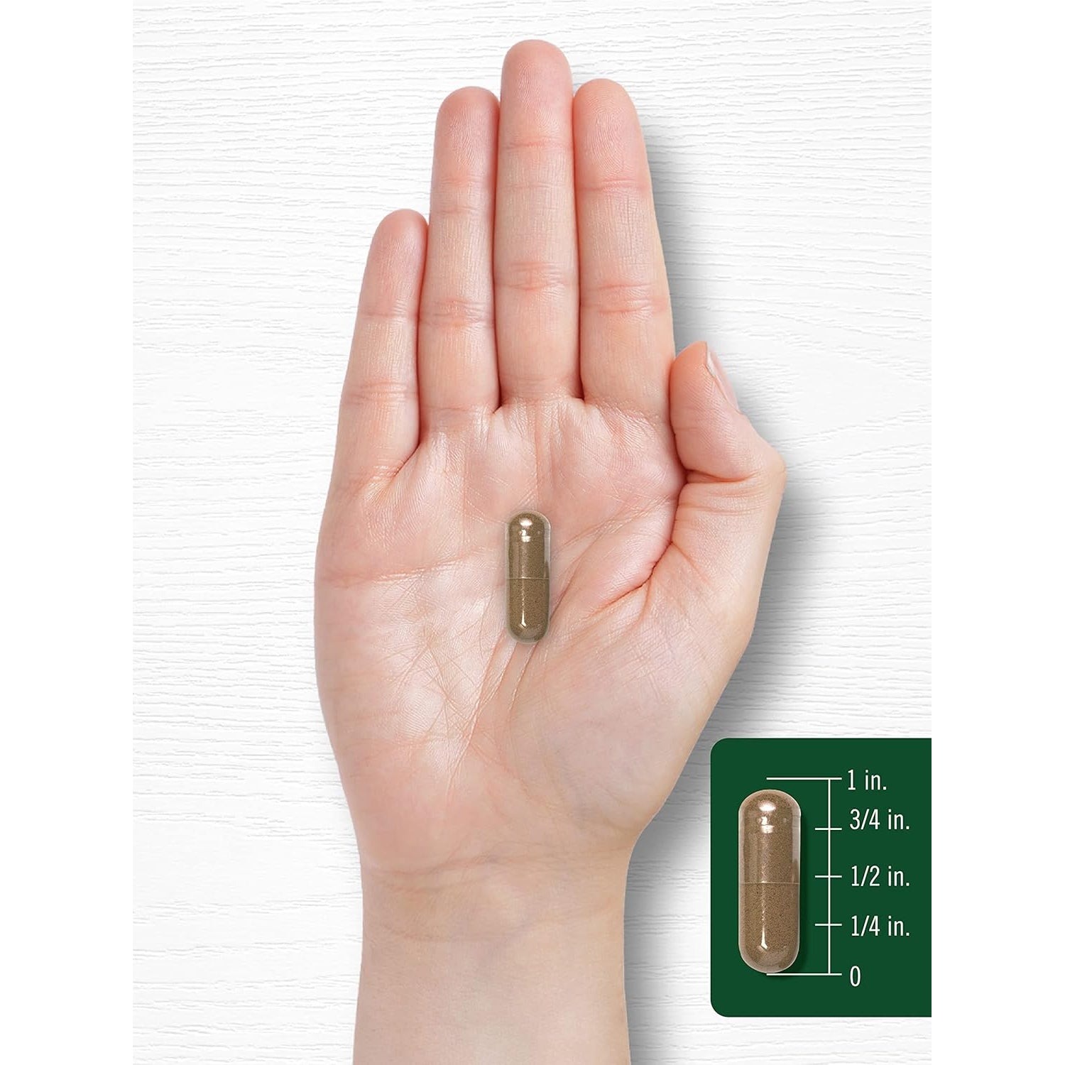 Carlyle Cat'S Claw Herb Capsules 1000Mg | 180 Count | Uncaria Tomentosa | Non-Gmo, Gluten Free Supplement