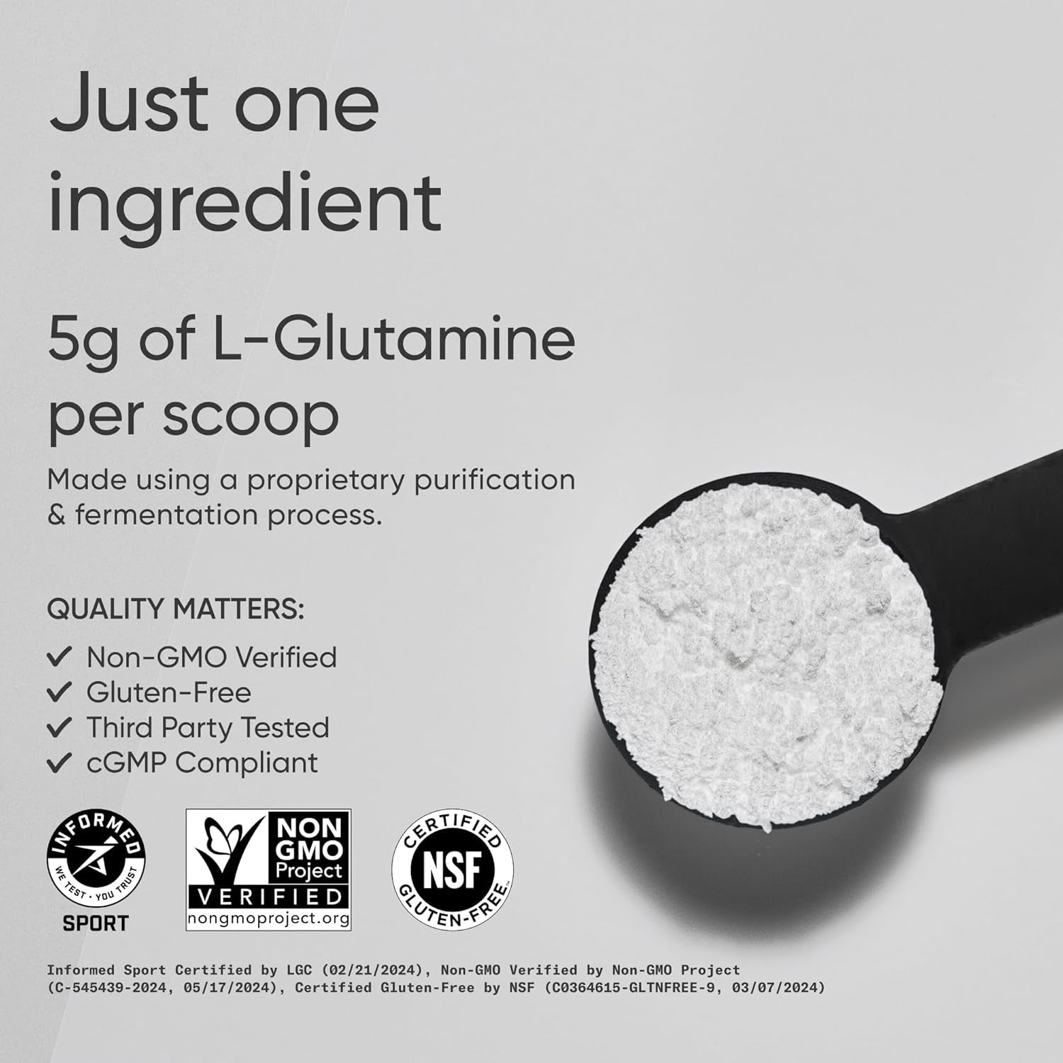 Sports Research L-Glutamine - Workout Recovery, Immune Health & Gut Health Support - 5 G per Serving - 10.58 Oz