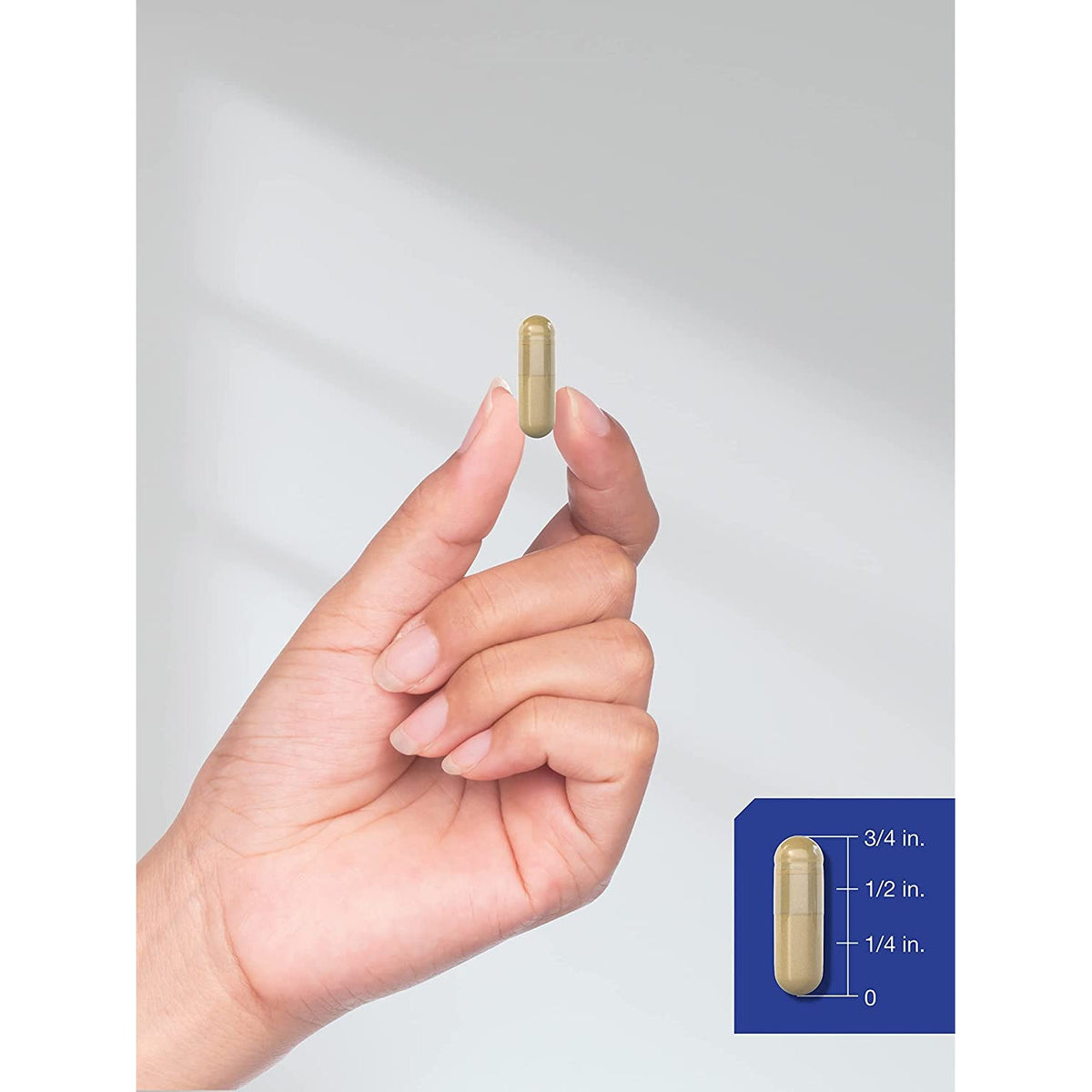 Horbäach Huperzine a 400Mcg | 180 Capsules | Non-Gmo, Gluten Free Supplement