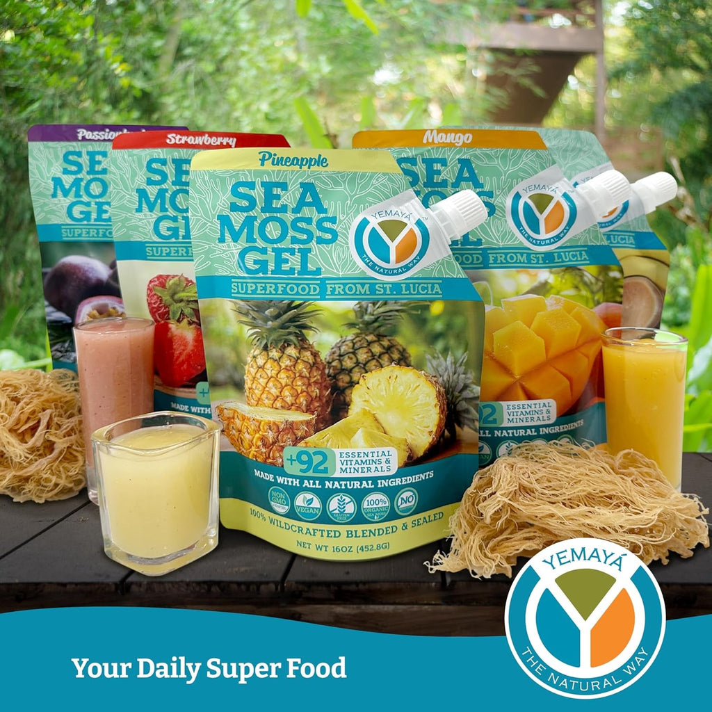 Yemayá Sea Moss Gel with Pineapple Flavor | Wildcrafted Sea Moss from St. Lucia | Vegan, Non-Gmo, Gluten Free | 16 Oz