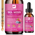 Sea Moss Liquid Drops - Organic Irish Sea Moss with Black Seed Oil, Ashwagandha, Soursop, Bladderwrack, Burdock Root, Elderberry, Turmeric | Seamoss for Immune Support, Energy, Hair & Digestion -Vegan