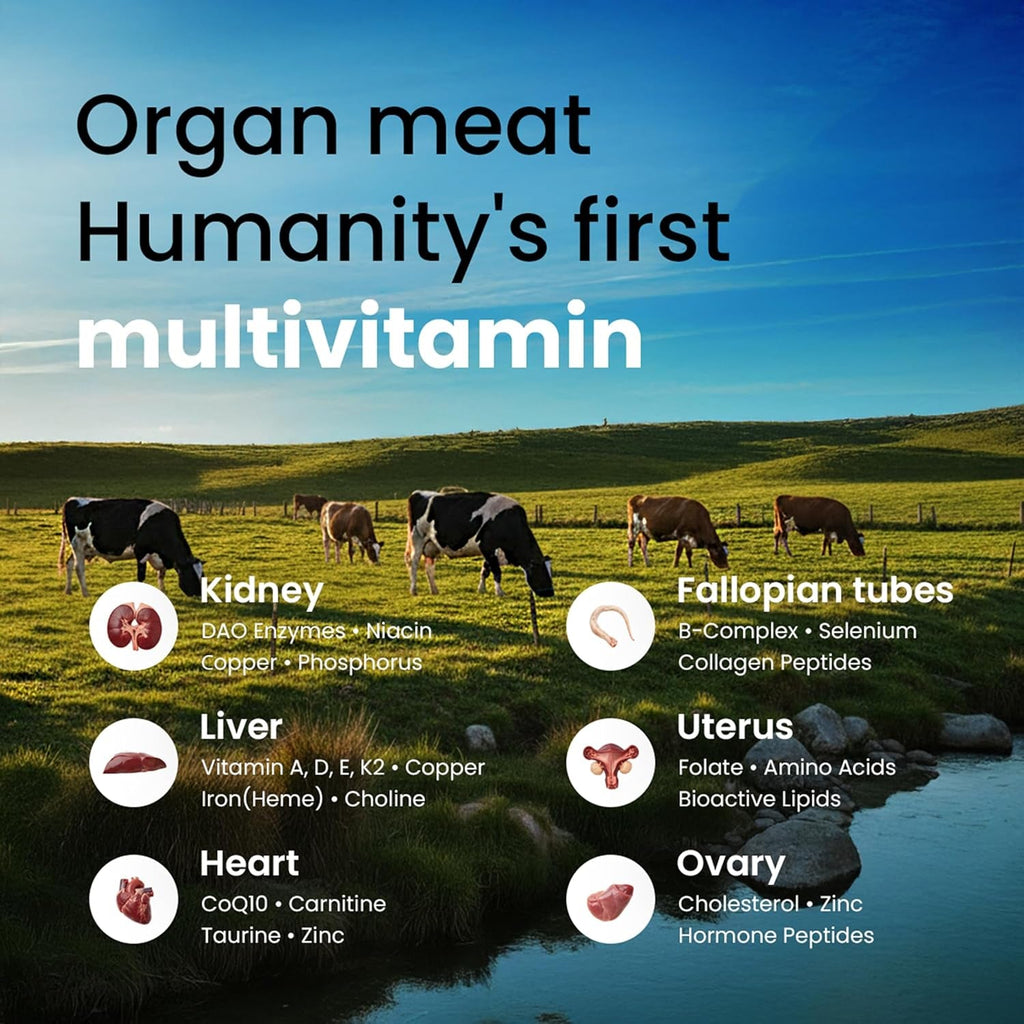 Beef Organ Supplement for Women – Grass Fed Liver, Uterus, Ovary, Heart, Kidney – 30+ Nutrients to Support Hormone Balance, Cycle Health, Energy, Immunity, Skin & Hair – Usa-Made & 3Rd Party Tested
