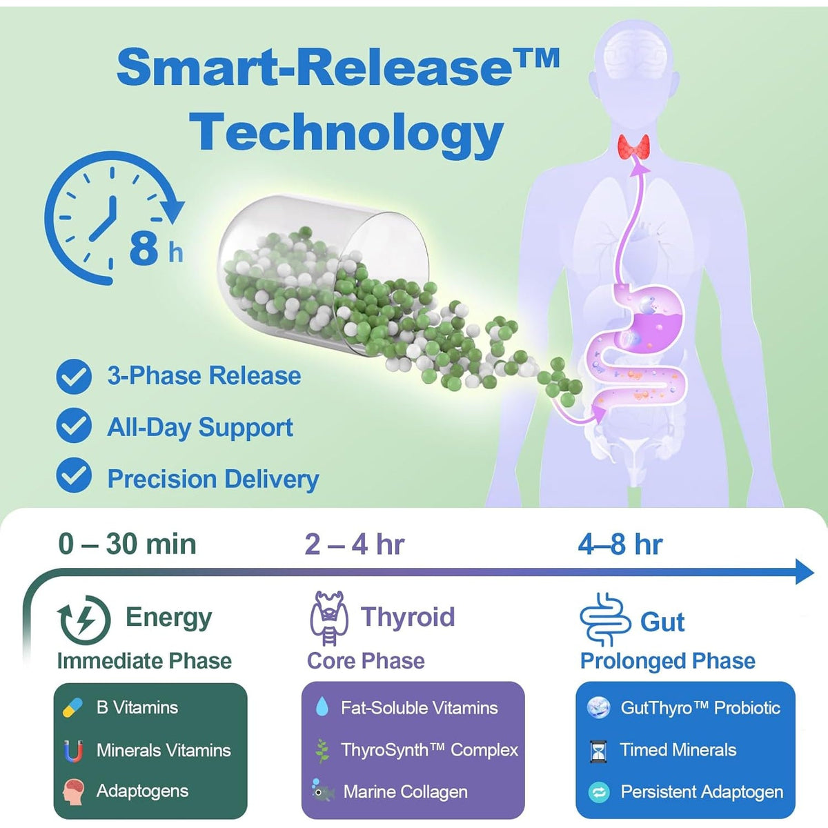 Thyroid Support Supplement for Women 120 Capsules - Smart-Release Micro-Beads with Thyrosynth™ & Gutthyro™ - Advanced Thyroid Complex, Ashwagandha, Marine Collagen & 20B CFU Probiotics - 1 Bottle