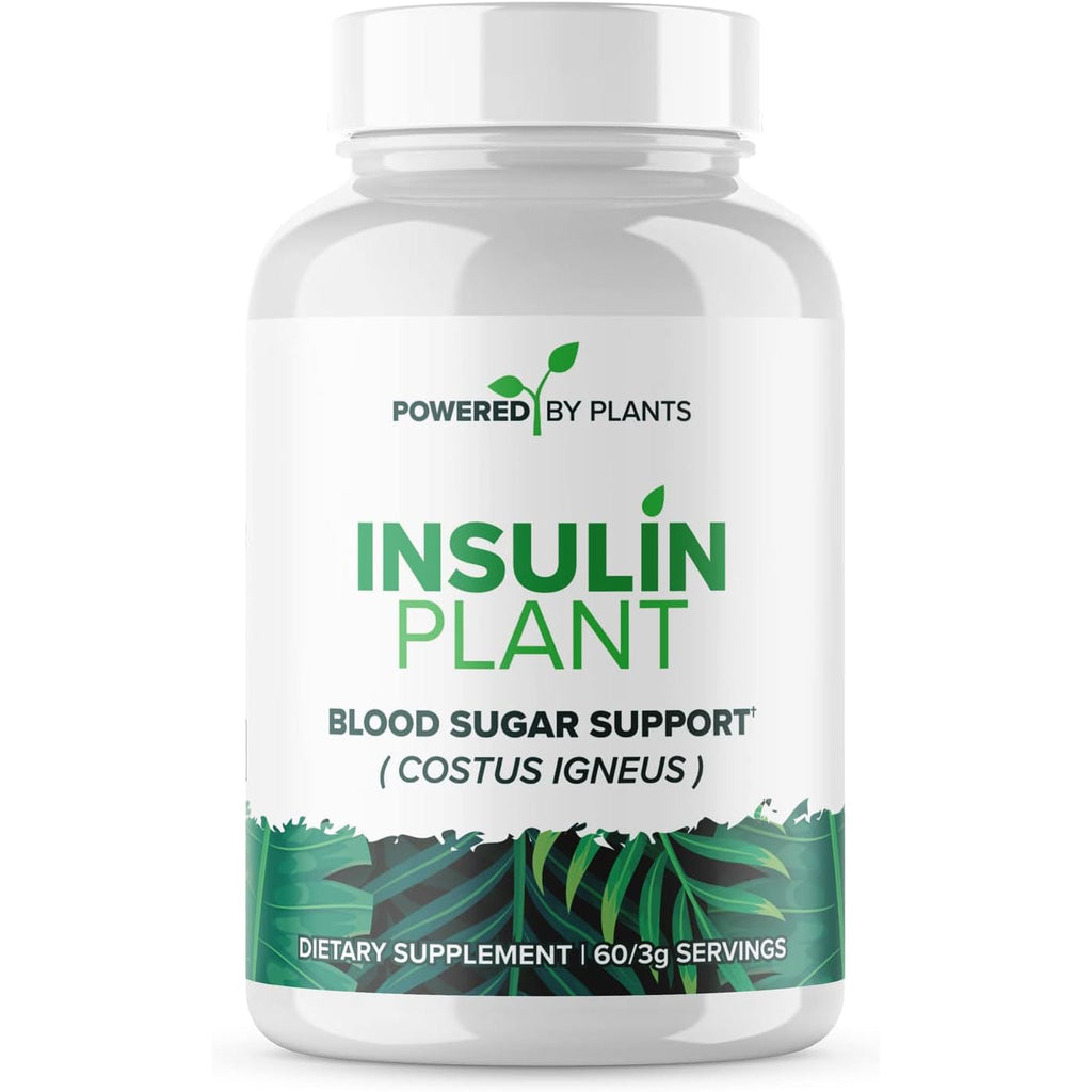 Insulin Plant Capsules - 3000Mg Costus Igneus Leaf Powder with No Binders, Fillers & Gluten - Vegan, Non GMO Supplements for Women & Men by Powered X Plants, 240 Capsules