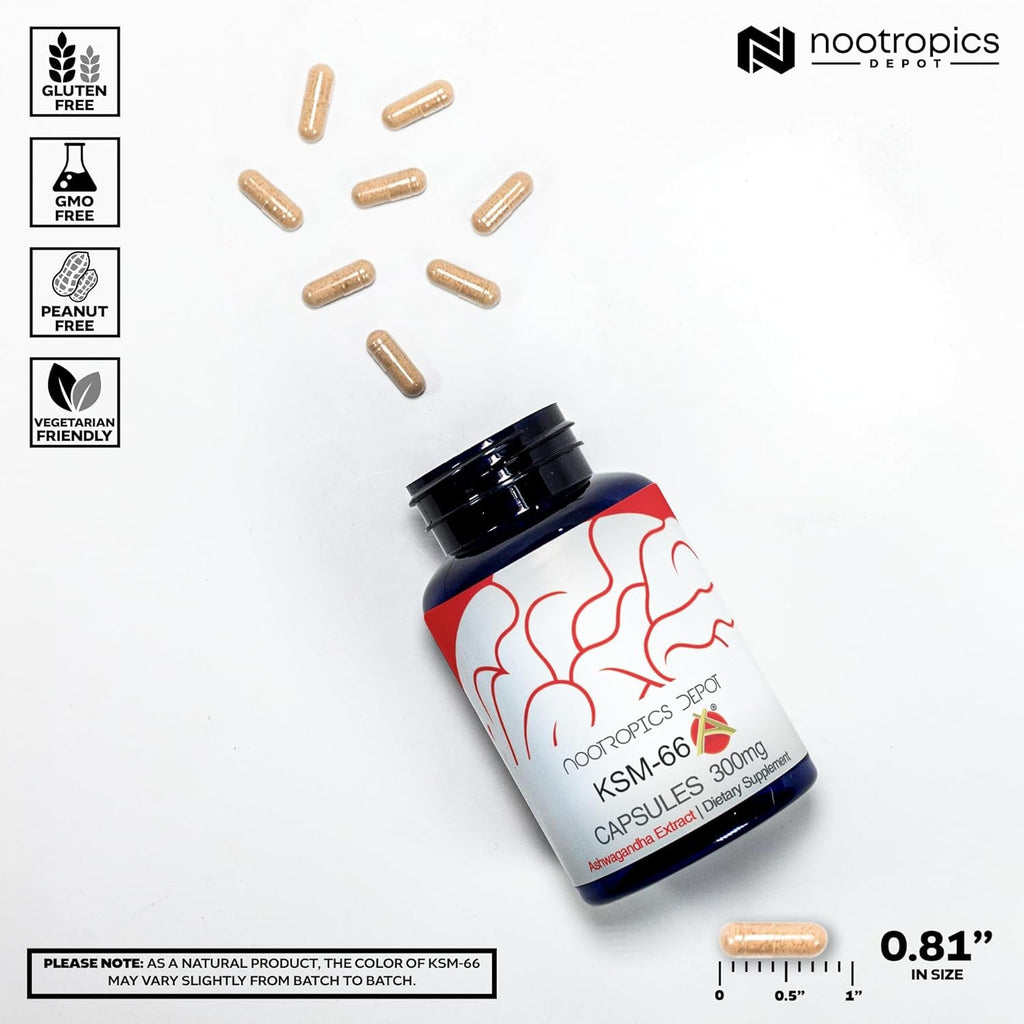 Nootropics Depot KSM-66 Ashwagandha Capsules | 300Mg | 90 Count | Withania Somnifera Extract | Ayurvedic Herb | Adaptogen Supplement | Promote Relaxation*