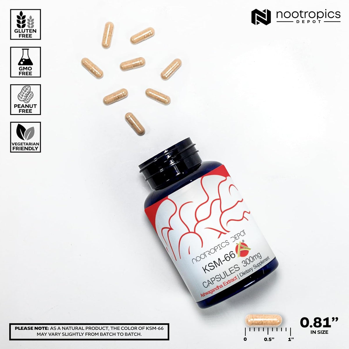 Nootropics Depot KSM-66 Ashwagandha Capsules | 300Mg | 90 Count | Withania Somnifera Extract | Ayurvedic Herb | Adaptogen Supplement | Promote Relaxation*