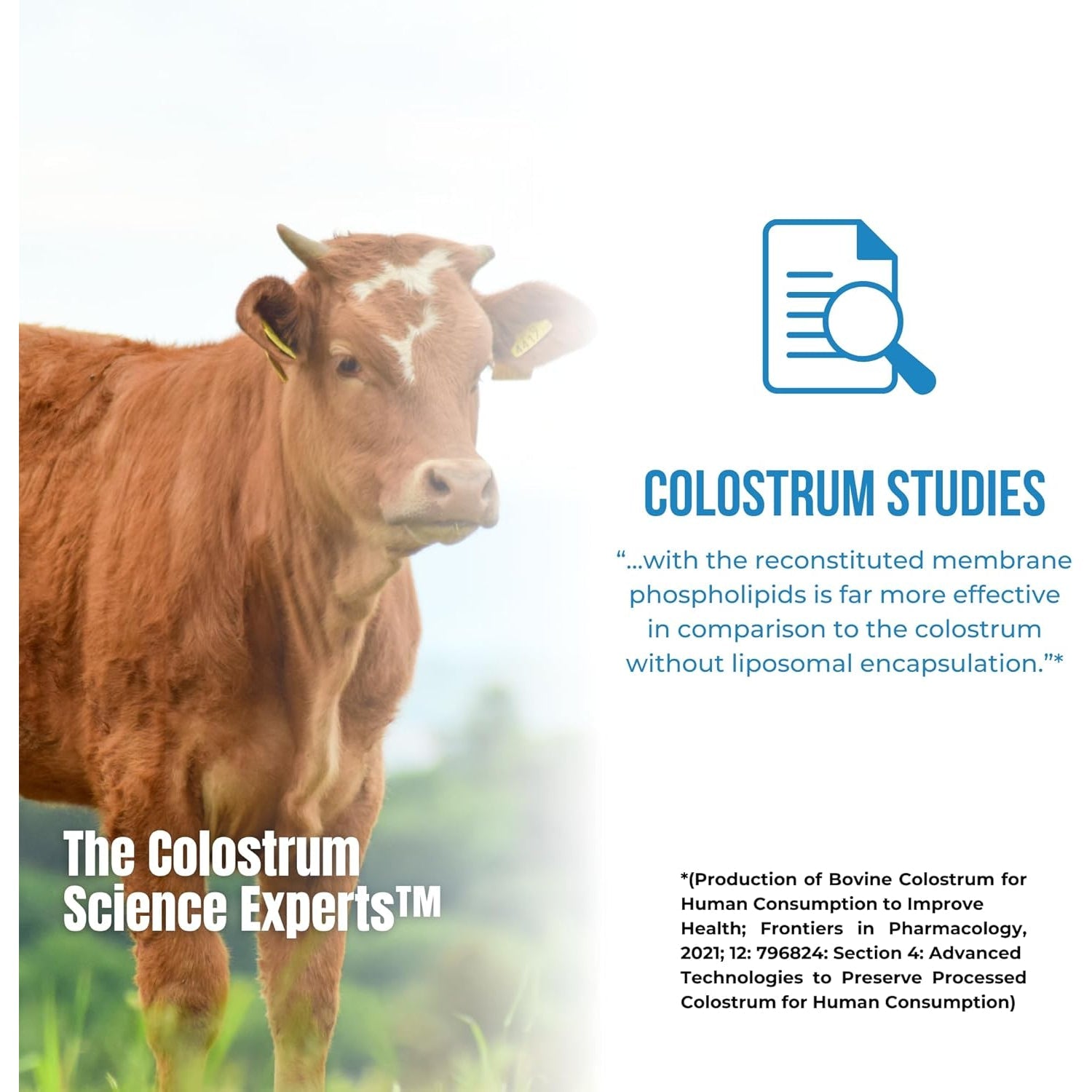 Colostrum-Ld Liposomal Delivery - Colostrum Powder - Gluten-Free, Lactose-Reduced - 34 Servings - Sovereign Laboratories - 6 Oz Vanilla