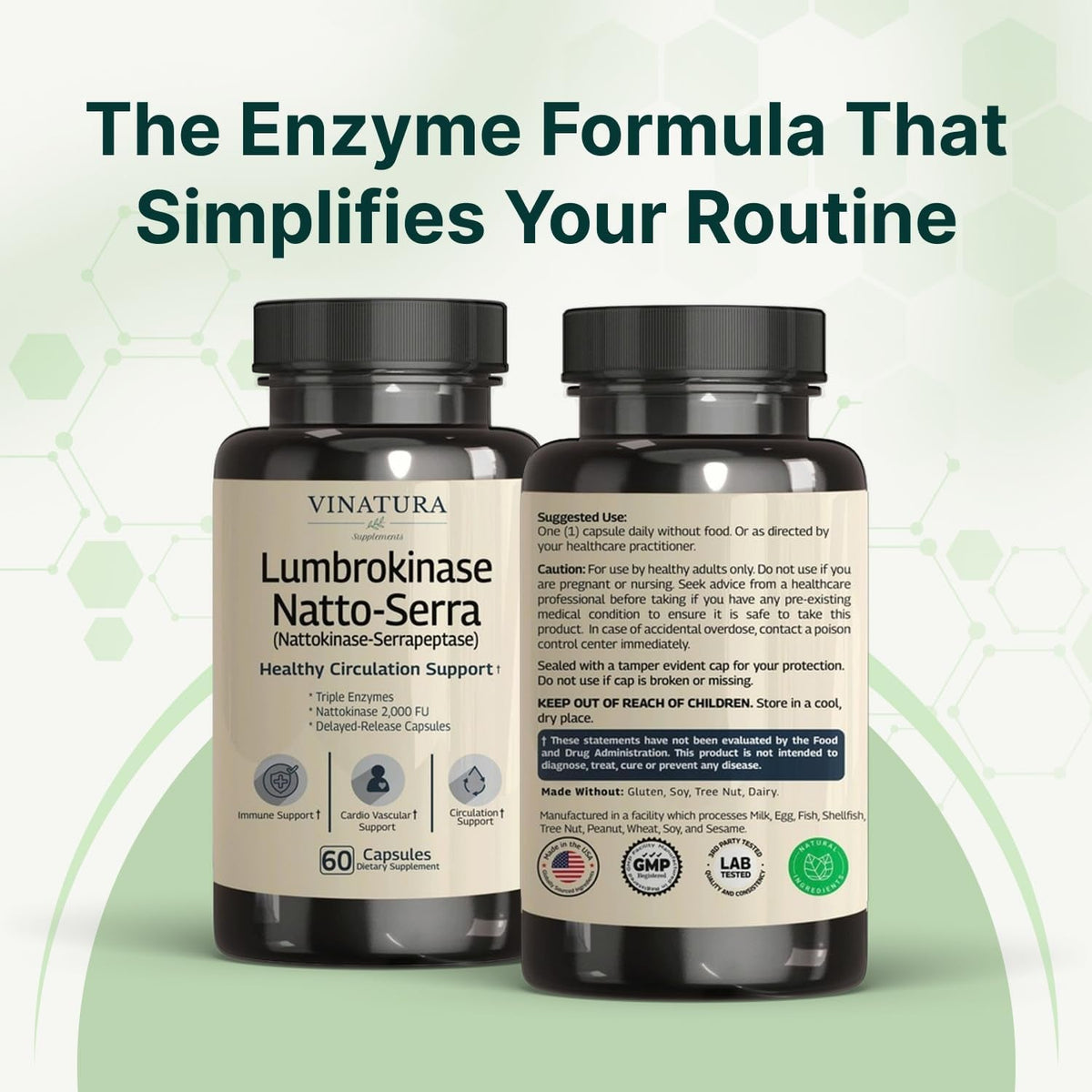 VINATURA Lumbrokinase Serrapeptase Nattokinase - Nattokinase 2000 FU, Lumbrokinase Enzymes Supplement for Blood Circulation Support - 60 Capsules