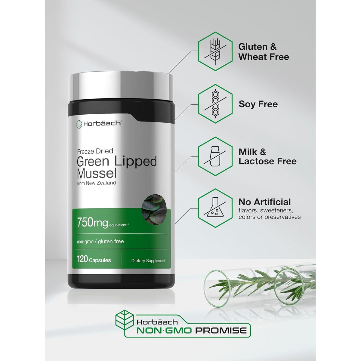 Horbäach Green Lipped Mussel |120 Capsules | from New Zealand | Premium Freeze Dried Mussel Powder | Non-Gmo and Gluten Free