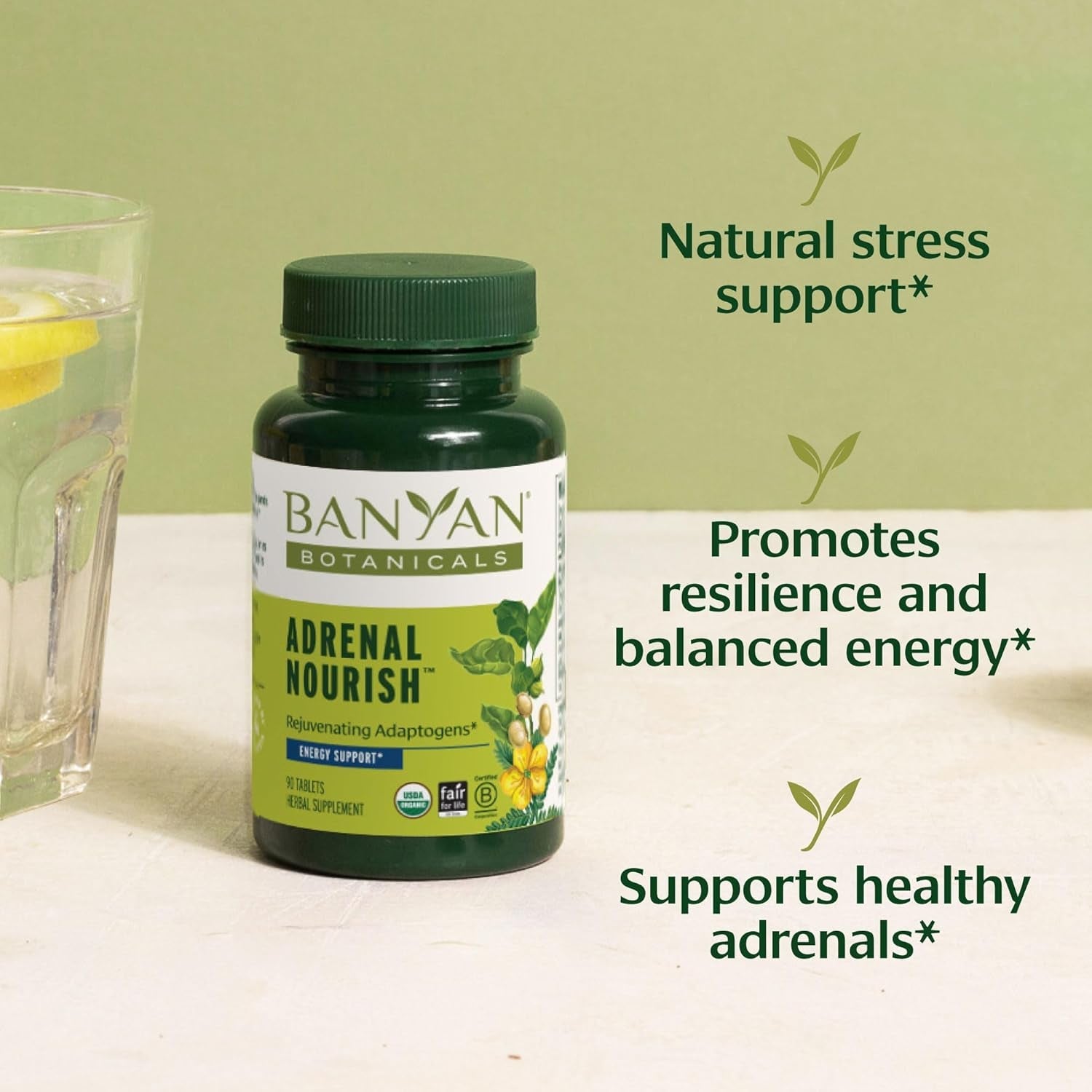 Banyan Botanicals Organic Adrenal Nourish - Cortisol Support & Stress Relief Supplement - Natural Energy & Fatigue Support with Ashwagandha & Adaptogens - 90 Tablets - Non-Gmo, Vegan*