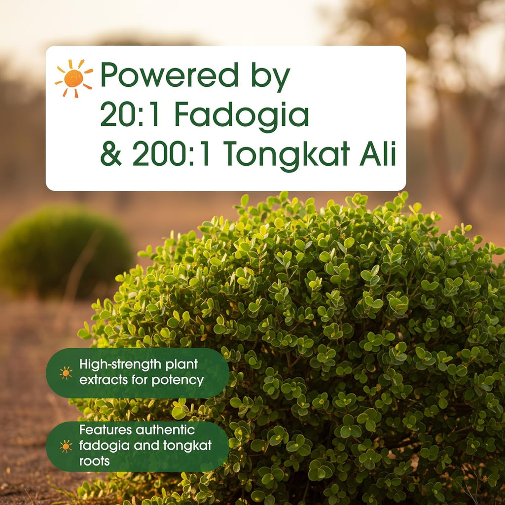 Naturebell Fadogia Agrestis 600Mg & Tongkat Ali 400Mg - 240 Capsules (4-Month Supply) - High-Potency Supplement for Energy, Vitality & Workout Support - Non-Gmo, Gluten-Free - 3Rd Party Tested