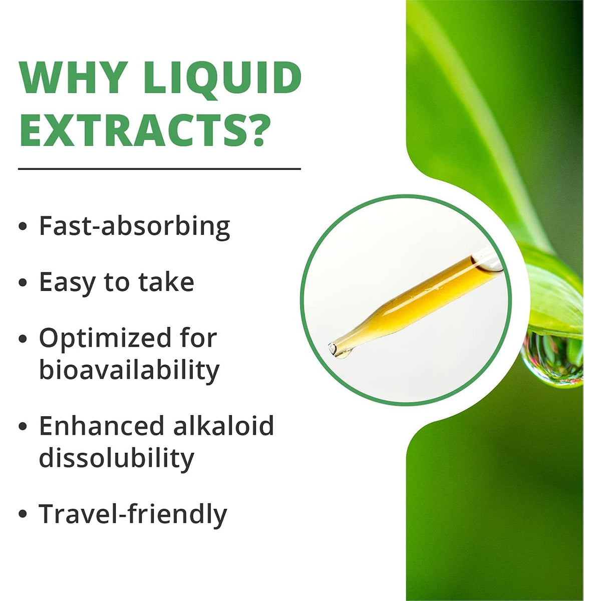 Nutramedix Parsley Herbal Supplement - Parsley Leaf and Stem Extract - Antioxidant Support, Body Detox & Cleanse Support - Liquid Herbal Supplements for Immune Health (1Oz / 30Ml)