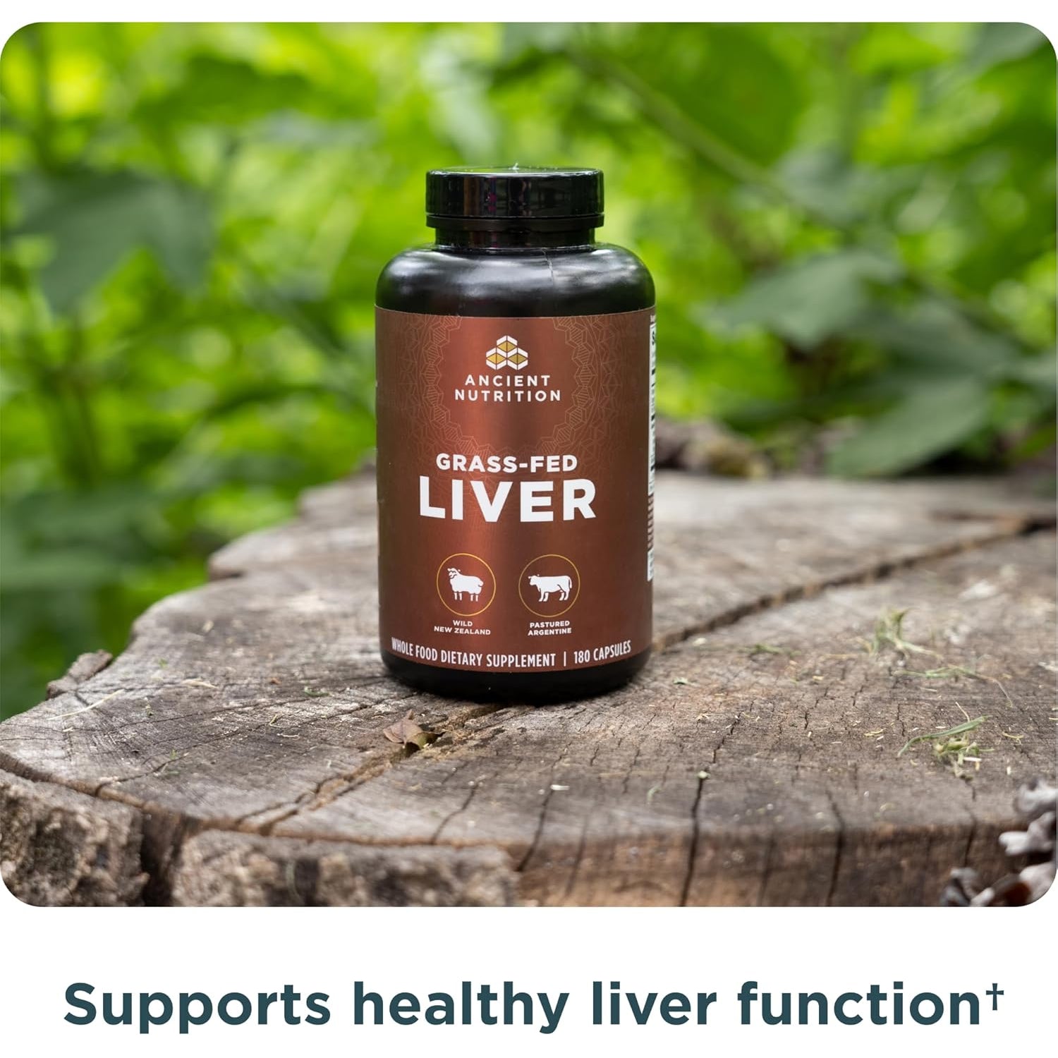 Ancient Nutrition Organ Supplements, Grass-Fed and Wild Organ Complex Capsules, Beef & Lamb Liver, Supports Healthy Blood, Gut, and Liver, 180 Ct