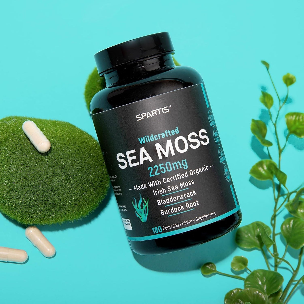 SPARTIS Certified Organic Sea Moss Capsules 2250Mg Wildcrafted Irish Sea Moss Burdock Root Bladderwrack Supplement Raw Seamoss Pills & Powder (Pack of 1 at 180-Caps)