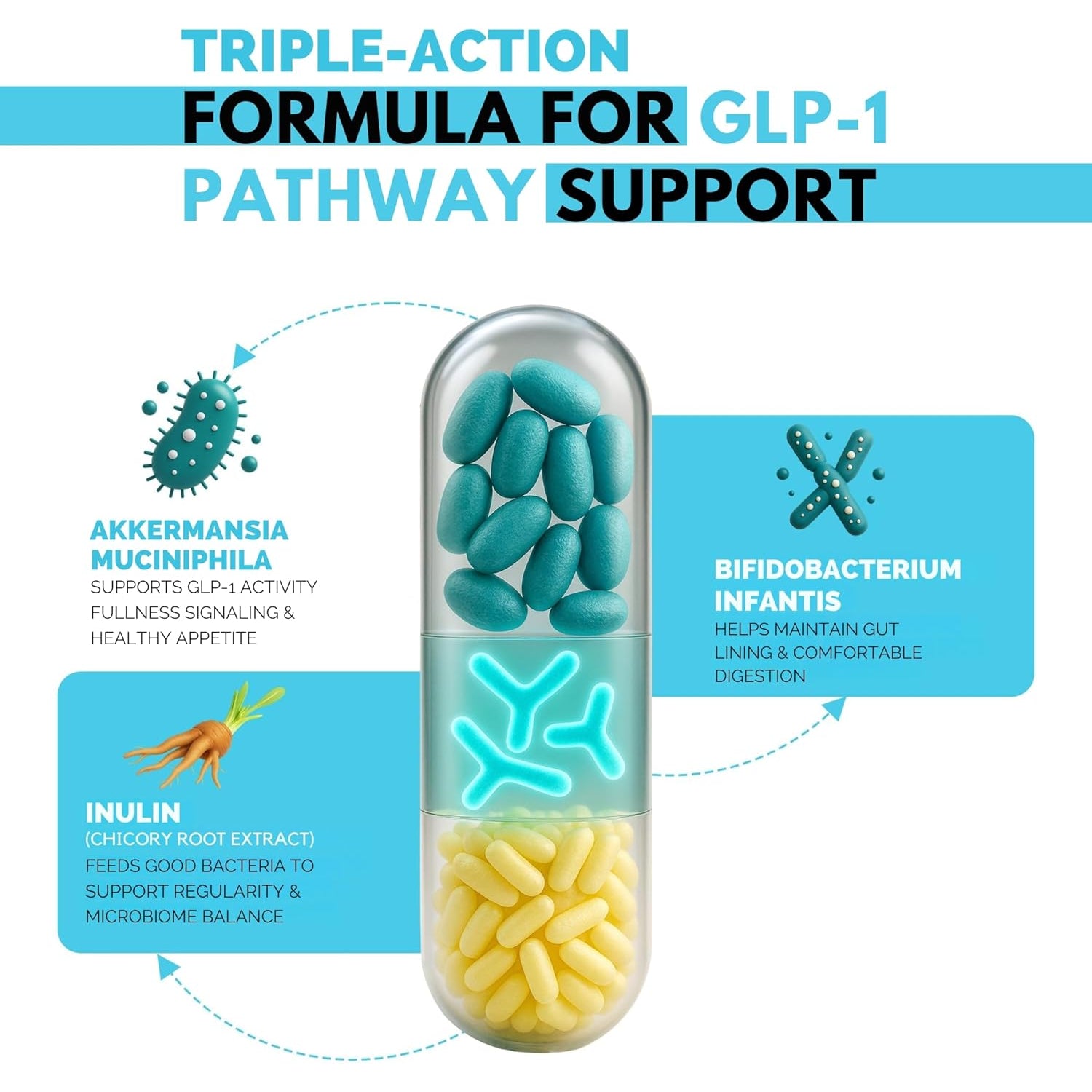 GLP-1 Probiotic Support Appetite Suppressant – Akkermansia Muciniphila & Bifidobacterium Infantis – Inulin Prebiotic Fiber – Gut Cleanse, Craving & Weight-Loss Support – 30 Caps