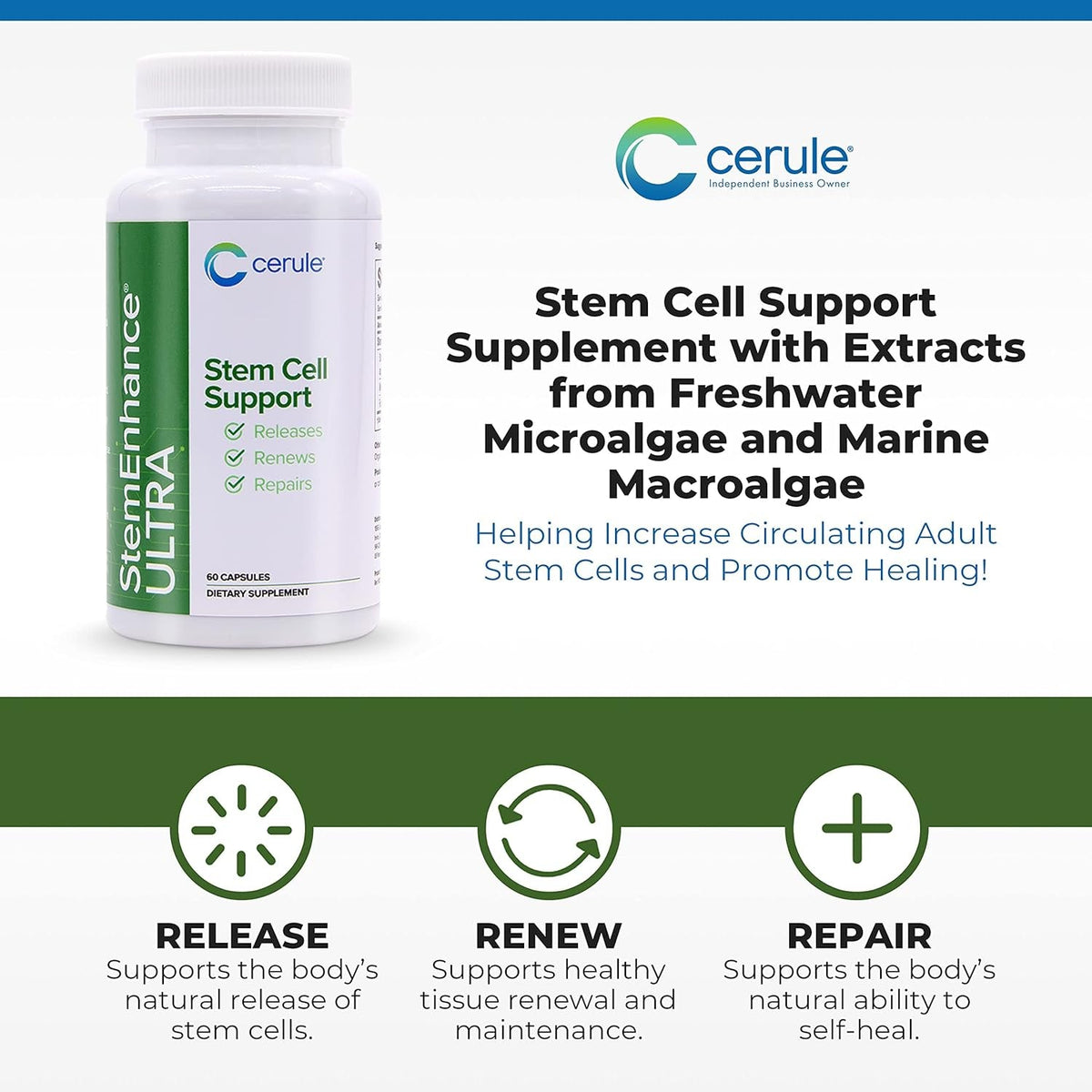 Cerule Stemenhance Ultra Natural Stem Cell Support Supplement – Freshwater Microalgae and Marine Macroalgae Extracts for Cellular Renewal, Immune Function, Energy, and Tissue Recovery – 60 Capsules