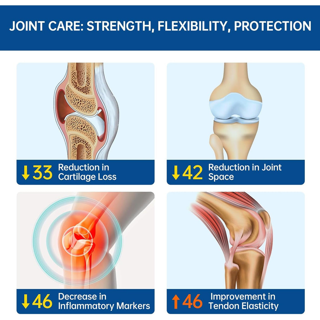 5-Day Fast-Acting Glucosamine Chondroitin MSM - Joint Health Supplement with OVOMET Eggshell Membrane & Boswellia, Support Joint Comfort, Cartilage, Strength & Flexibility - Made in Germany, 120Ct