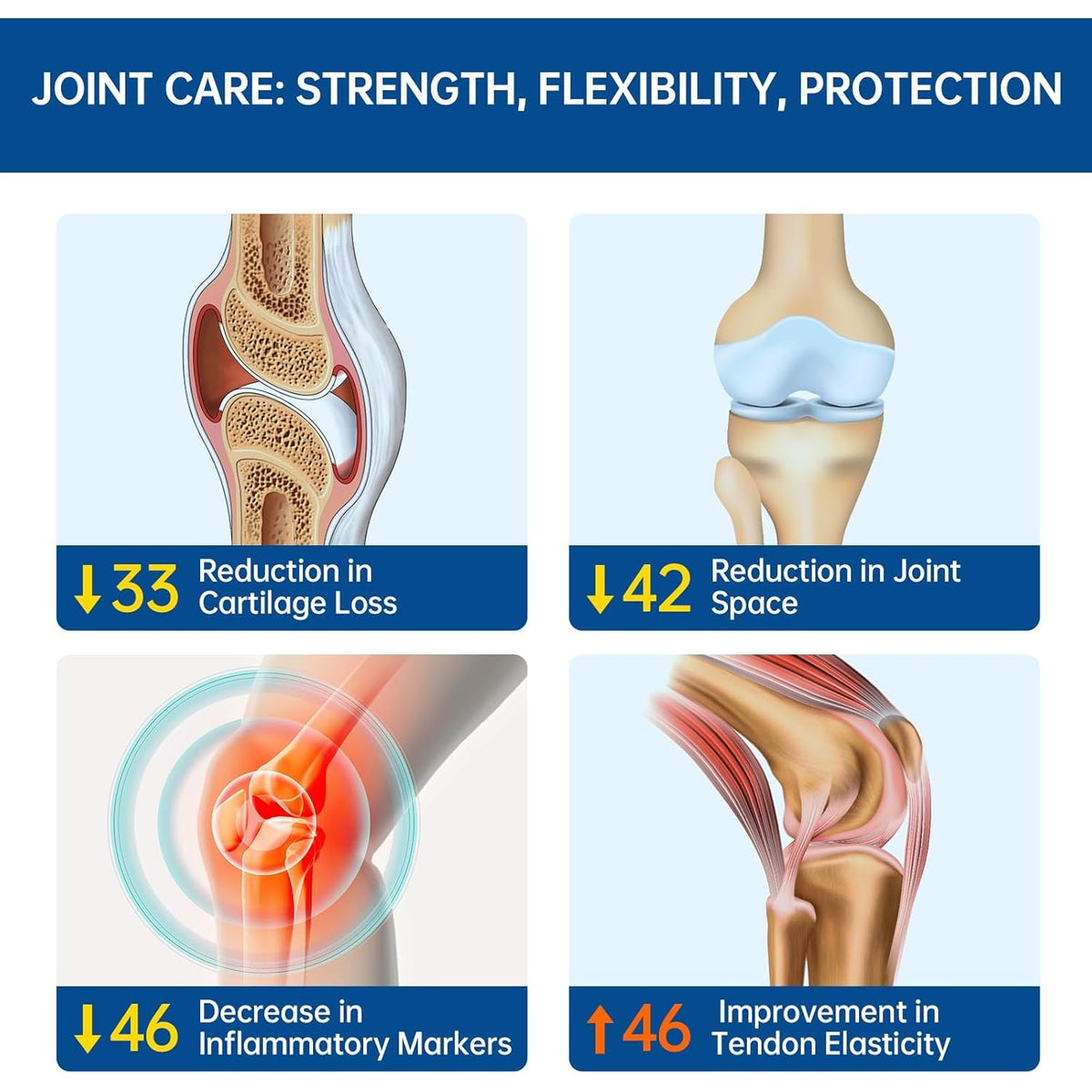5-Day Fast-Acting Glucosamine Chondroitin MSM - Joint Health Supplement with OVOMET Eggshell Membrane & Boswellia, Support Joint Comfort, Cartilage, Strength & Flexibility - Made in Germany, 120Ct