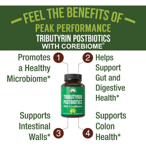 Corebiome Tributyrin Postbiotic Supplement Clinically Tested for Gut Health. More Effective than Sodium Butyrate Capsules. High Bioavailability Post Biotics for Digestive, Leaky Gut, Colon, Microbiome