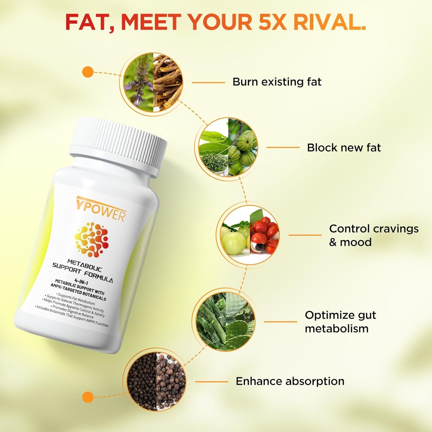 Natural Thermogenic Fat Burner – 4 in 1 Metabolic Support for Stubborn Fat, Metabolism Boost & Weight Control, 24/7 Weight Loss, 60 Capsules