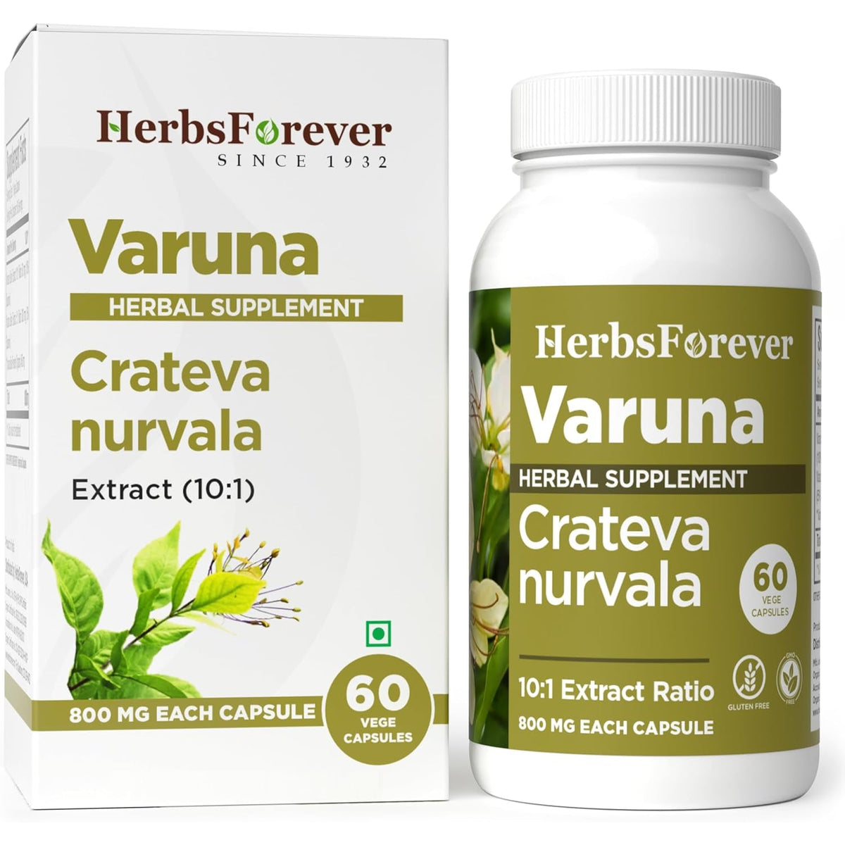 Herbsforever Varuna Nurvala Extract Capsules - Vegan & Gluten Free | Plant Based Supplement for Bladder & Kidney Function, 800 Mg per Capsules (60 Nos)