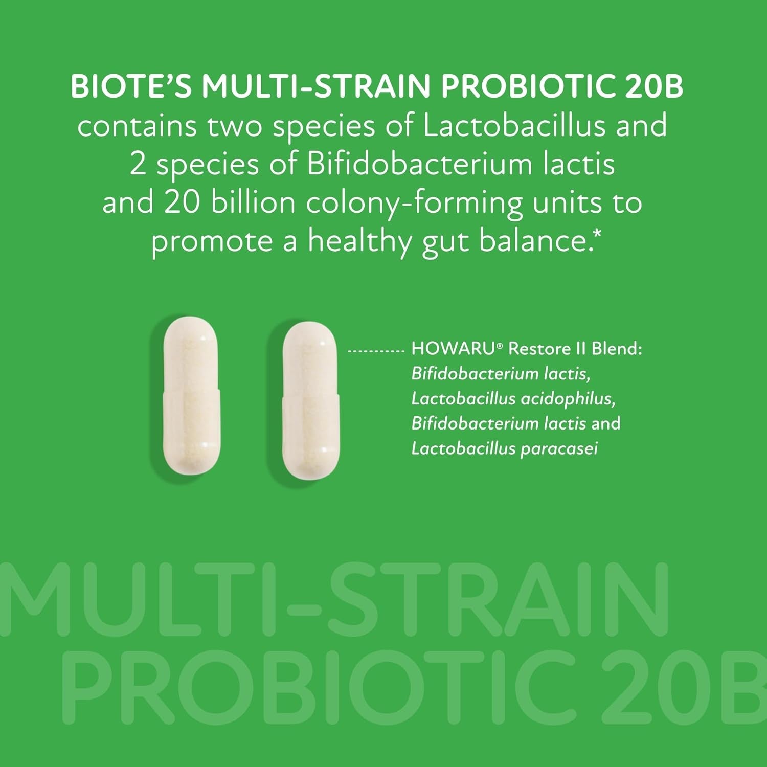 Biote Nutraceuticals - Multi-Strain PROBIOTIC 20B - Gut + Digestive (30 Capsules)
