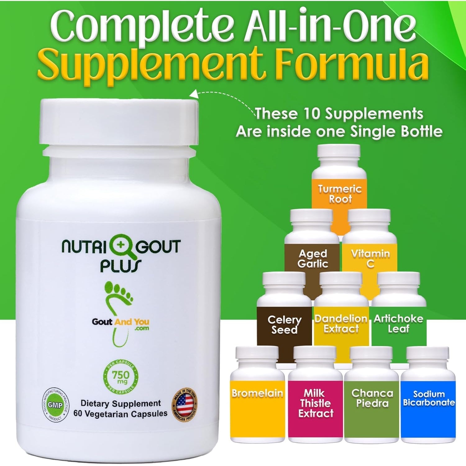 Gout and You Nutrigout plus - Uric Acid Support Premium Formula - 60 Vegetarian Capsules - 750 Mg per Capsule
